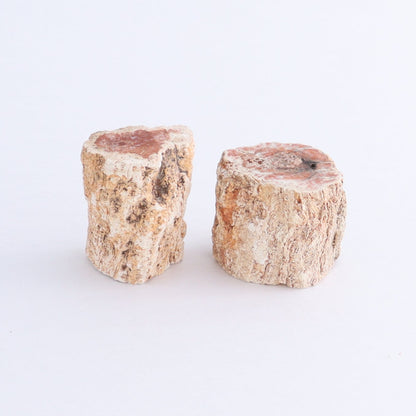 Petrified Wood Cut Bases Set of 10 - Expert Wholesale and Supplier of Wholesale Crystals & Bulk Gemstones, ["Cut Base","Petrified Wood"]