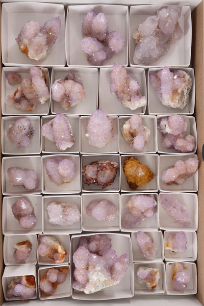 Cactus Quartz Flat - Expert Wholesale and Supplier of Wholesale Crystals & Bulk Gemstones, []