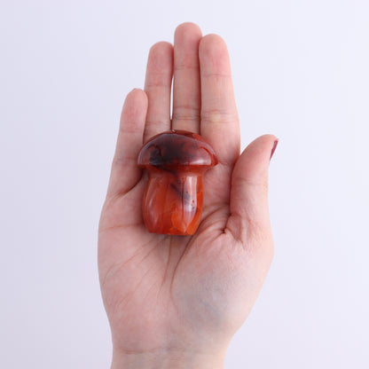 Carnelian Mushrooms Set of 10 - Expert Wholesale and Supplier of Wholesale Crystals & Bulk Gemstones, ["carnelian","Madagascar","Mushrooms"]