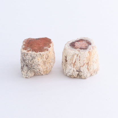 Petrified Wood Cut Bases Set of 10 - Expert Wholesale and Supplier of Wholesale Crystals & Bulk Gemstones, ["Cut Base","Petrified Wood"]