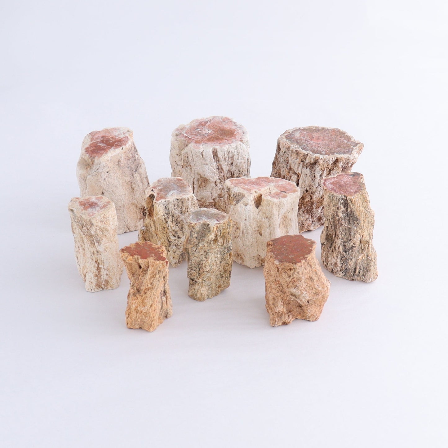 Petrified Wood Cut Bases Set of 10 - Expert Wholesale and Supplier of Wholesale Crystals & Bulk Gemstones, ["Cut Base","Petrified Wood"]