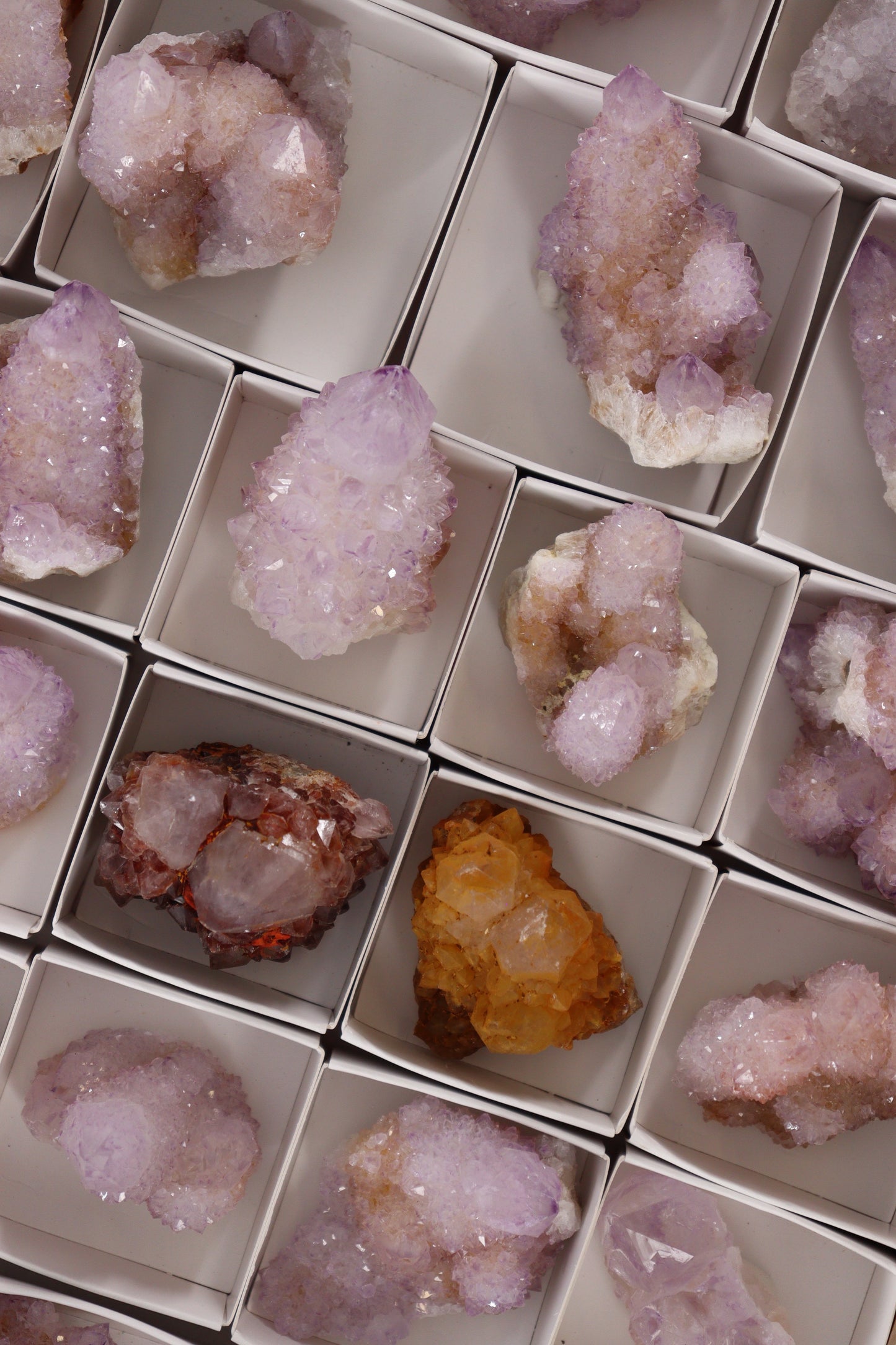 Cactus Quartz Flat - Expert Wholesale and Supplier of Wholesale Crystals & Bulk Gemstones, []