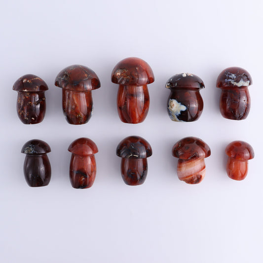 Carnelian Mushrooms Set of 10 - Expert Wholesale and Supplier of Wholesale Crystals & Bulk Gemstones, ["carnelian","Madagascar","Mushrooms"]