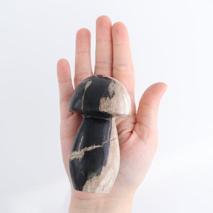 Petrified Wood Mushrooms Set of 4