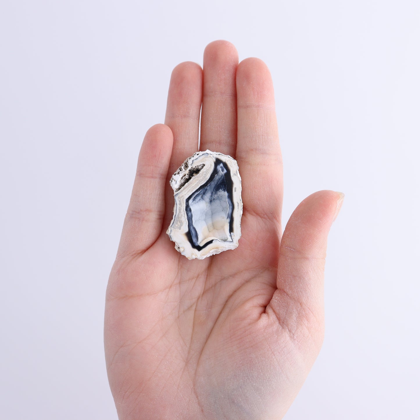 Agatized Coral Flat - Expert Wholesale and Supplier of Wholesale Crystals & Bulk Gemstones, ["Agate","Agatized Coral","Coral","United States"]
