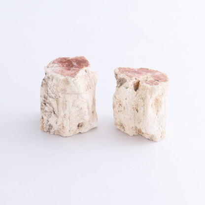 Petrified Wood Cut Bases Set of 10 - Expert Wholesale and Supplier of Wholesale Crystals & Bulk Gemstones, ["Cut Base","Petrified Wood"]