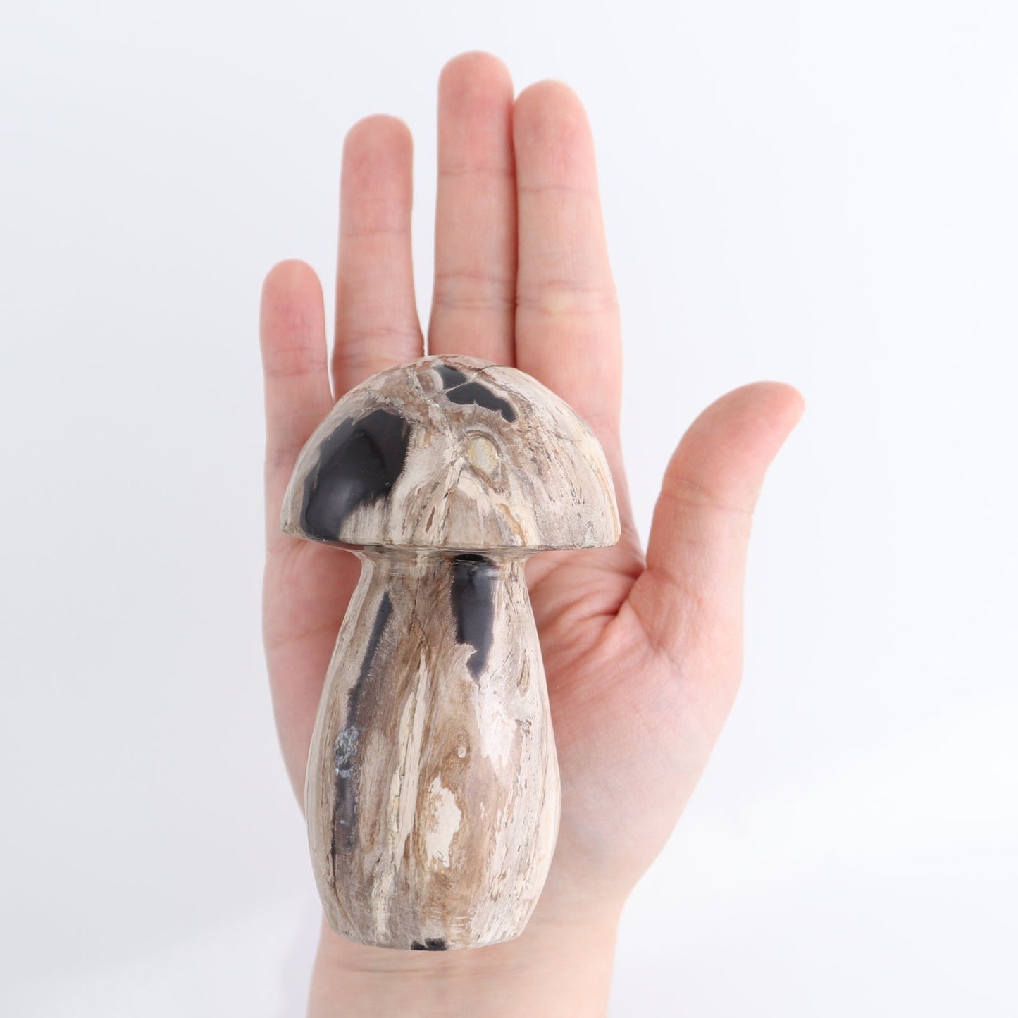 Petrified Wood Mushrooms Set of 4