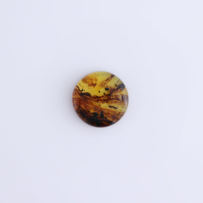 Chiapas Mexico Amber Cabs Set of 8 - Expert Wholesale and Supplier of Wholesale Crystals & Bulk Gemstones, ["Amber","Cabs","Chiapas Amber","Mexico"]