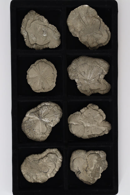 Pyrite Slices and Slabs - Expert Wholesale and Supplier of Wholesale Crystals & Bulk Gemstones, []