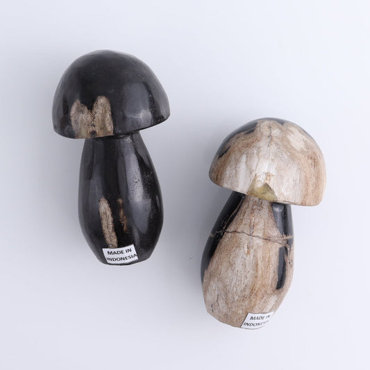 Petrified Wood Mushrooms Set of 4