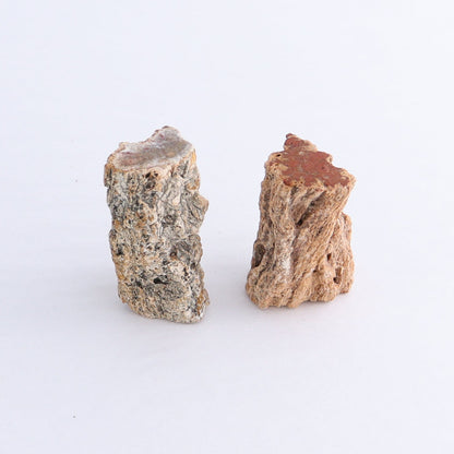 Petrified Wood Cut Bases Set of 10 - Expert Wholesale and Supplier of Wholesale Crystals & Bulk Gemstones, ["Cut Base","Petrified Wood"]