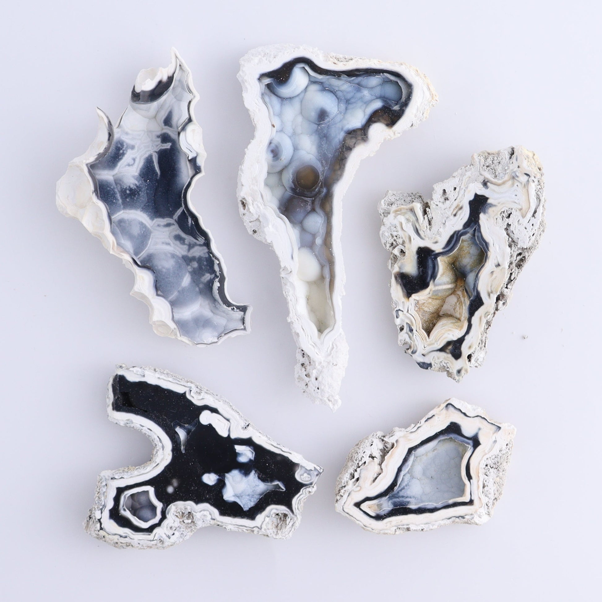 Agatized Coral Flat - Expert Wholesale and Supplier of Wholesale Crystals & Bulk Gemstones, ["Agate","Agatized Coral","Coral","United States"]