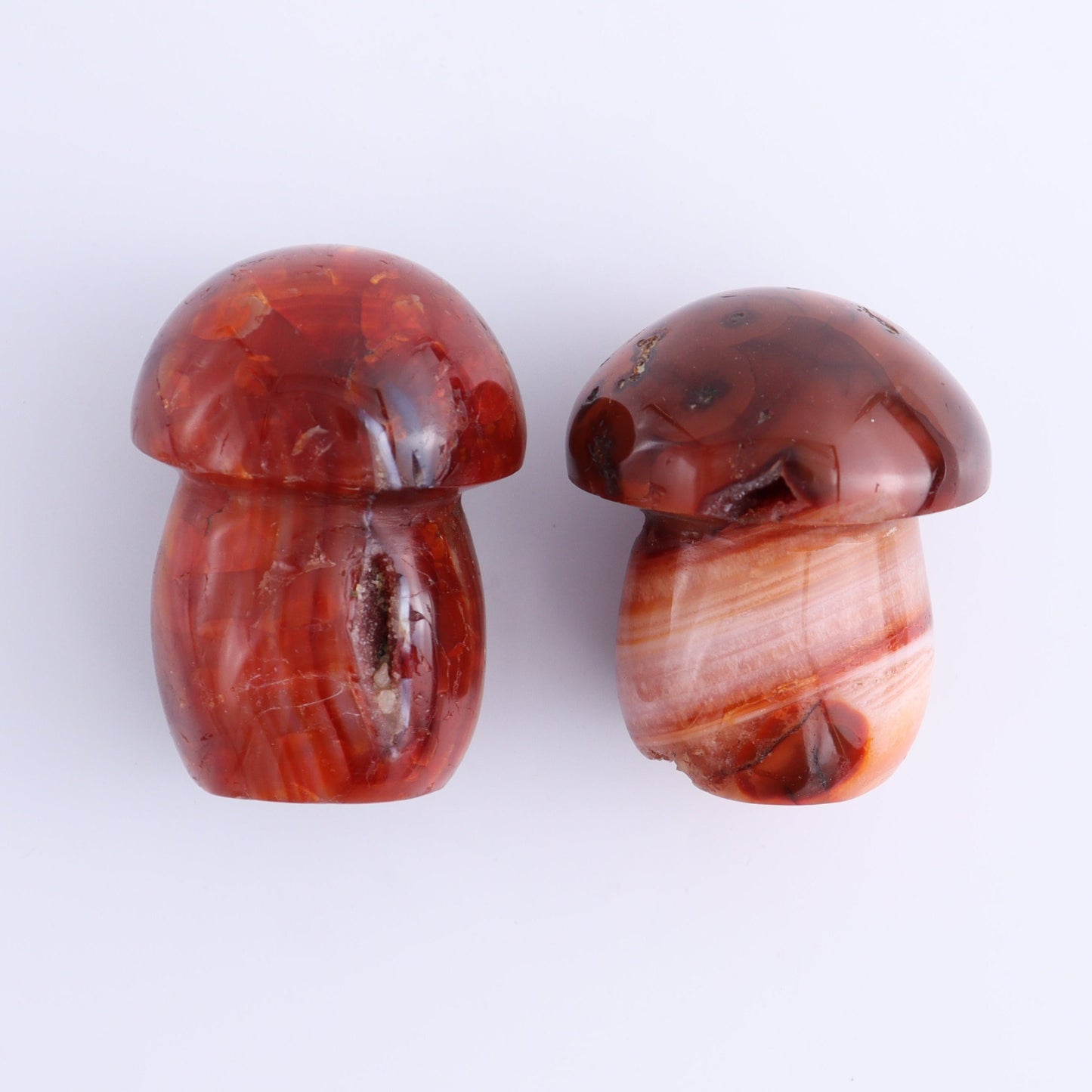 Carnelian Mushrooms Set of 10 - Expert Wholesale and Supplier of Wholesale Crystals & Bulk Gemstones, ["carnelian","Madagascar","Mushrooms"]
