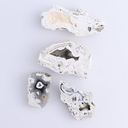 Agatized Coral Flat - Expert Wholesale and Supplier of Wholesale Crystals & Bulk Gemstones, ["Agate","Agatized Coral","Coral","United States"]