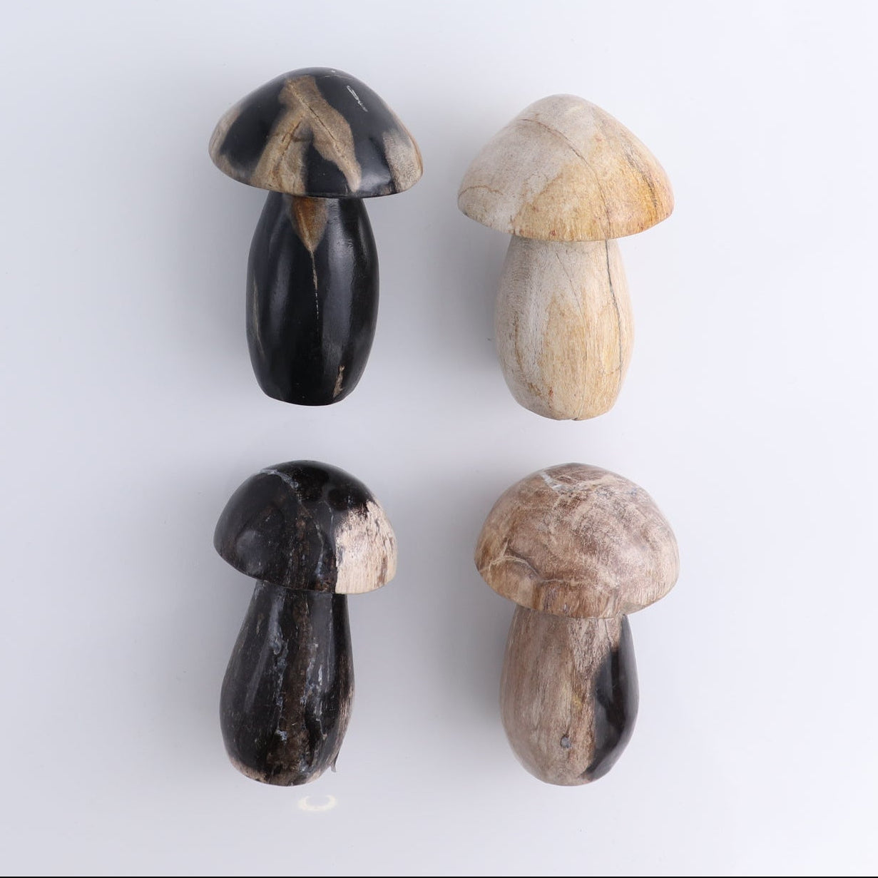 Petrified Wood Mushrooms Set of 4
