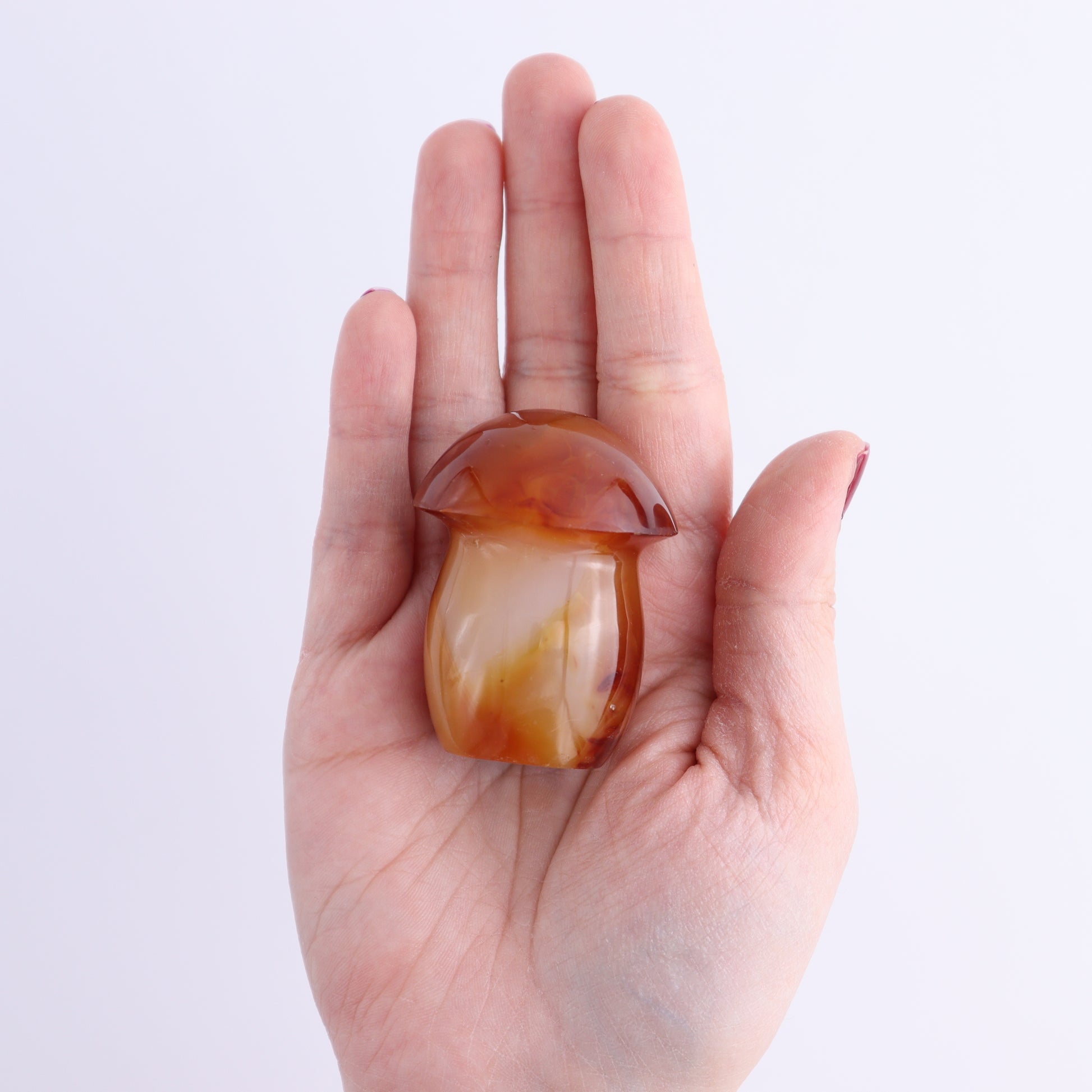 Carnelian Mushrooms Set of 10 - Expert Wholesale and Supplier of Wholesale Crystals & Bulk Gemstones, ["carnelian","Madagascar","Mushrooms"]