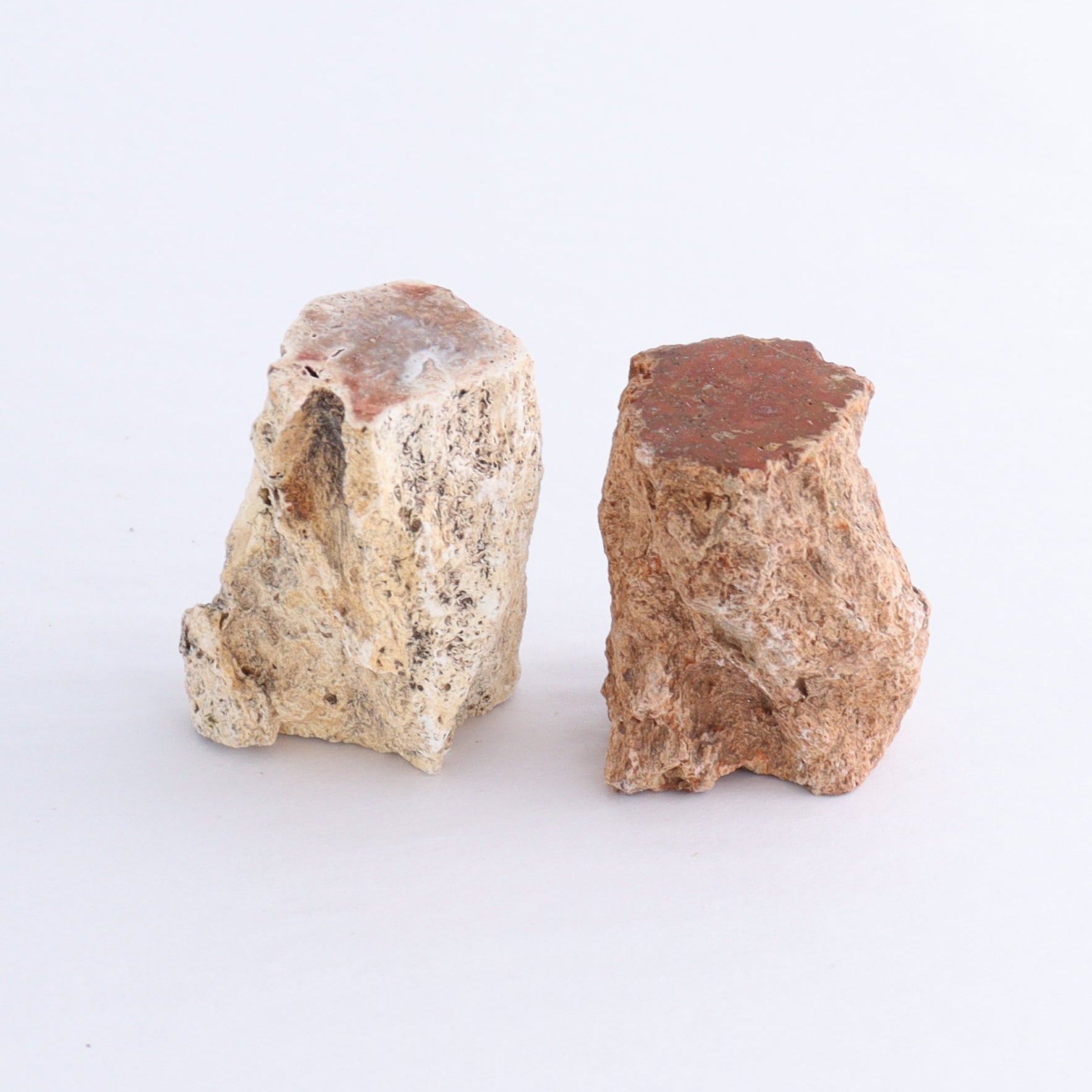 Petrified Wood Cut Bases Set of 10 - Expert Wholesale and Supplier of Wholesale Crystals & Bulk Gemstones, ["Cut Base","Petrified Wood"]