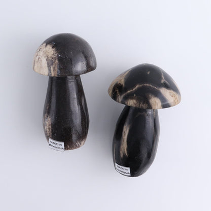 Petrified Wood Mushrooms Set of 4