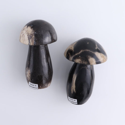 Petrified Wood Mushrooms Set of 4