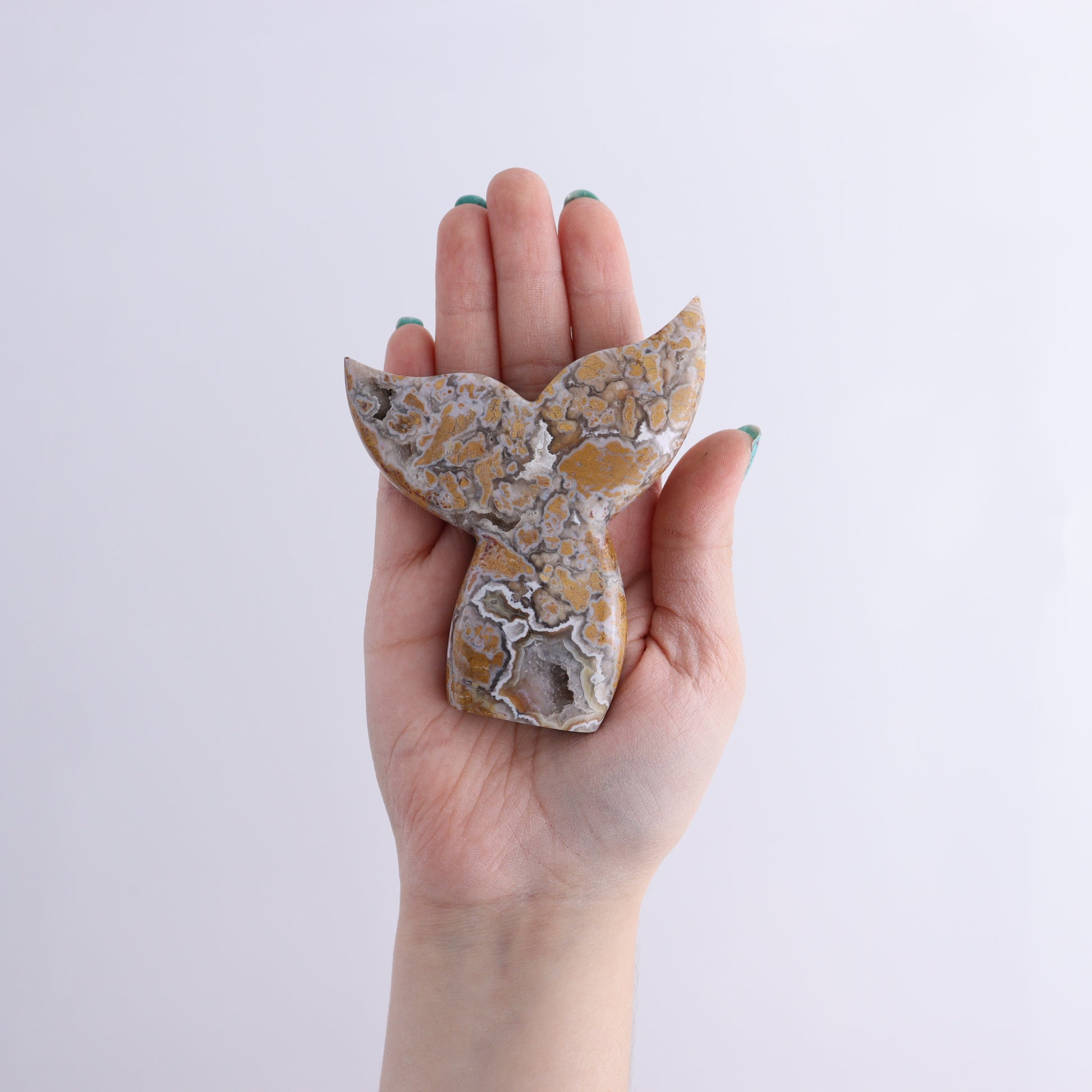 Brecciated Jasper Mixed Carvings Set of 6 - Expert Wholesale and Supplier of Wholesale Crystals & Bulk Gemstones, ["Brecciated Jasper","Freeforms","Indonesia","Mermaid Tail","moons"]