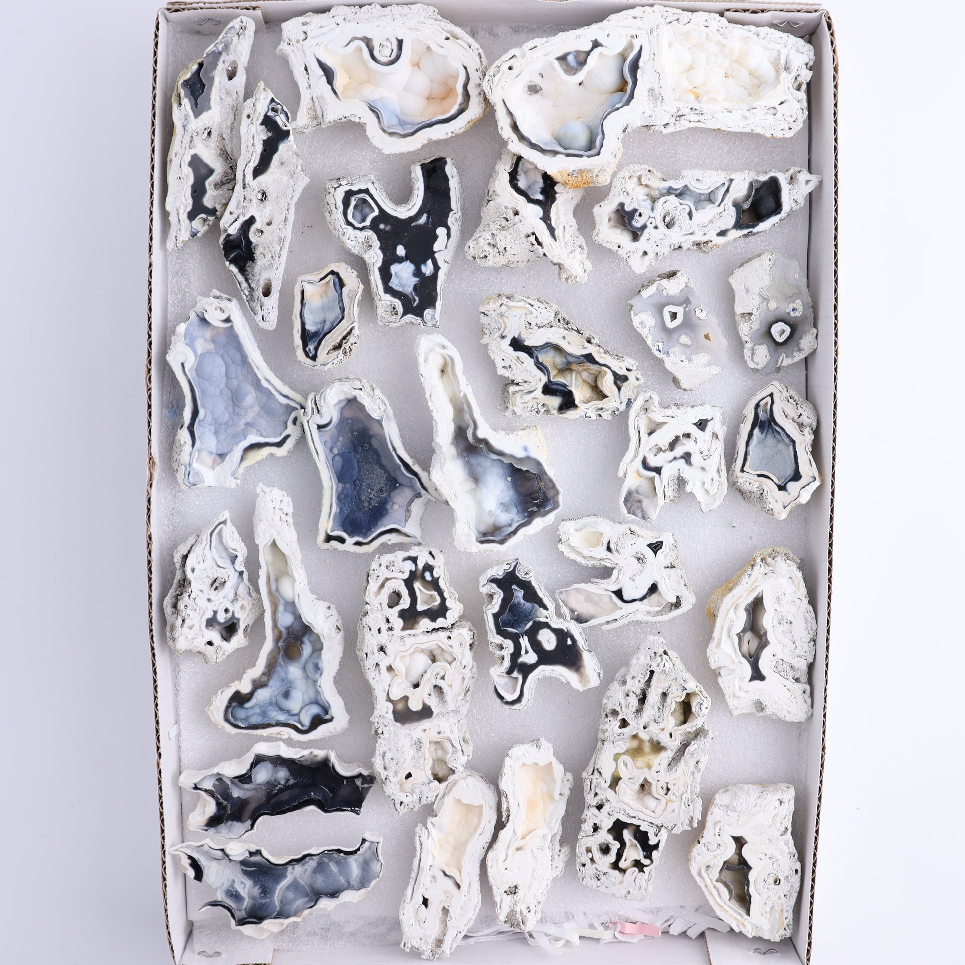 Agatized Coral Flat - Expert Wholesale and Supplier of Wholesale Crystals & Bulk Gemstones, ["Agate","Agatized Coral","Coral","United States"]