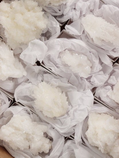 Aragonite Clusters Set of 18 - Expert Wholesale and Supplier of Wholesale Crystals & Bulk Gemstones, []