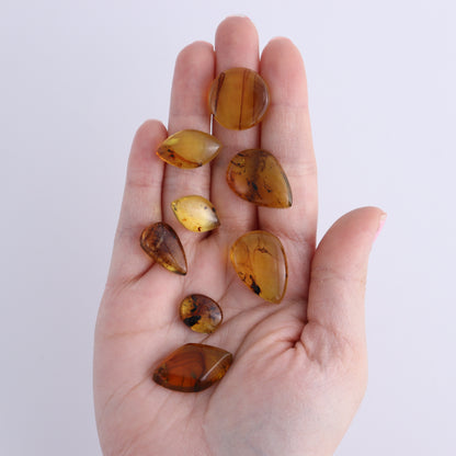 Chiapas Mexico Amber Cabs Set of 8 - Expert Wholesale and Supplier of Wholesale Crystals & Bulk Gemstones, ["Amber","Cabs","Chiapas Amber","Mexico"]