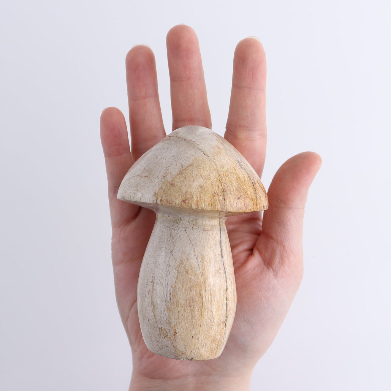 Petrified Wood Mushrooms Set of 4