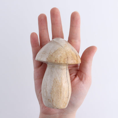 Petrified Wood Mushrooms Set of 4