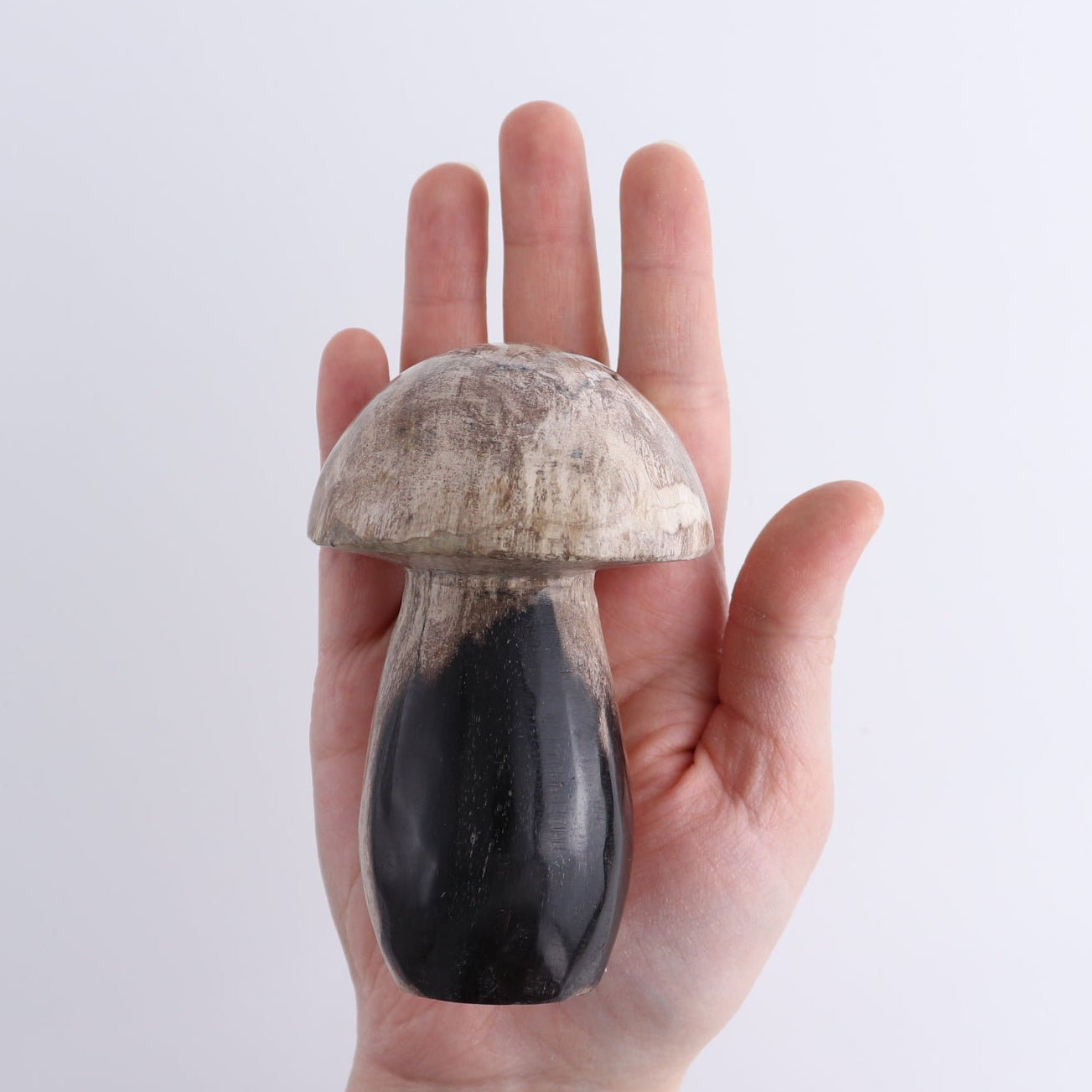 Petrified Wood Mushrooms Set of 4
