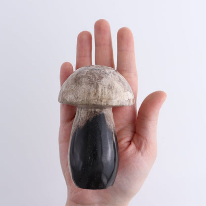 Petrified Wood Mushrooms Set of 4