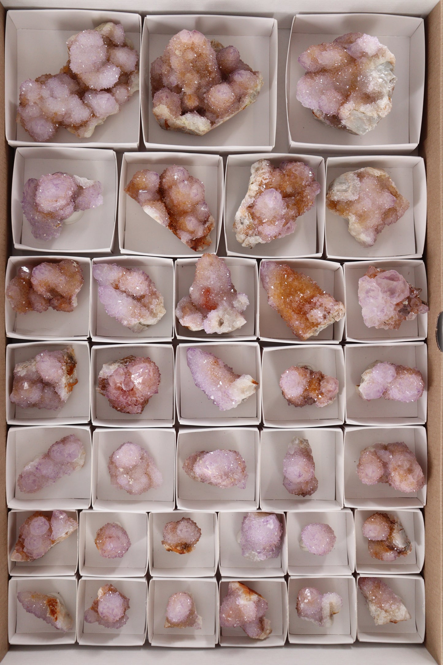 Cactus Quartz Flat - Expert Wholesale and Supplier of Wholesale Crystals & Bulk Gemstones, []