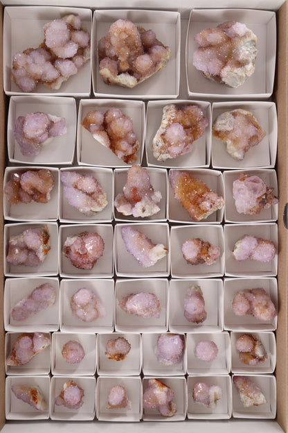 Cactus Quartz Flat - Expert Wholesale and Supplier of Wholesale Crystals & Bulk Gemstones, []