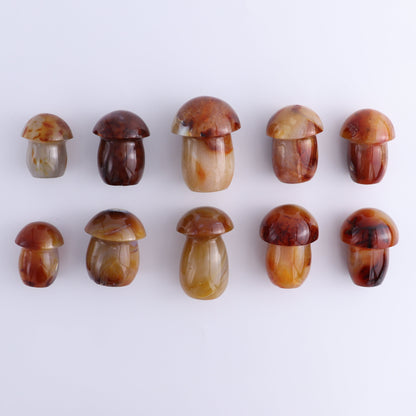 Carnelian Mushrooms Set of 10 - Expert Wholesale and Supplier of Wholesale Crystals & Bulk Gemstones, ["carnelian","Madagascar","Mushrooms"]
