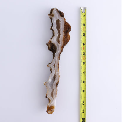 Agatized Coral Flat - Expert Wholesale and Supplier of Wholesale Crystals & Bulk Gemstones, ["Agate","Agatized Coral","Coral","United States"]