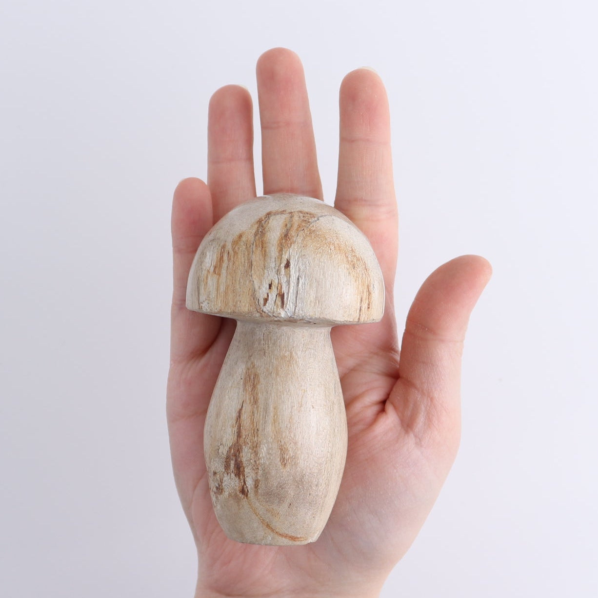 Petrified Wood Mushrooms Set of 4
