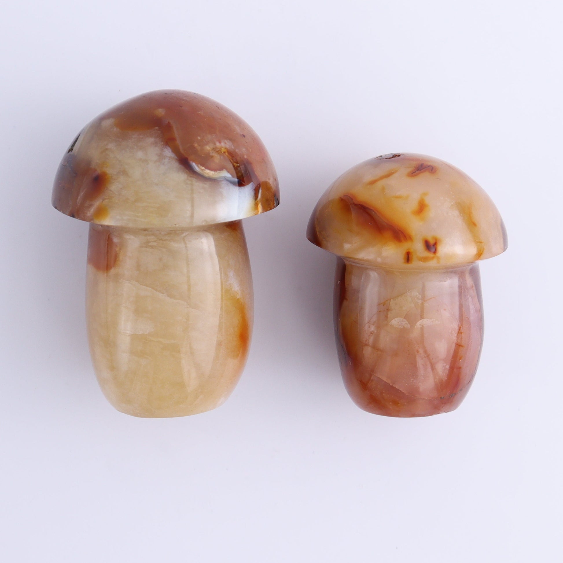 Carnelian Mushrooms Set of 10 - Expert Wholesale and Supplier of Wholesale Crystals & Bulk Gemstones, ["carnelian","Madagascar","Mushrooms"]