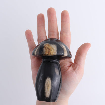 Petrified Wood Mushrooms Set of 4