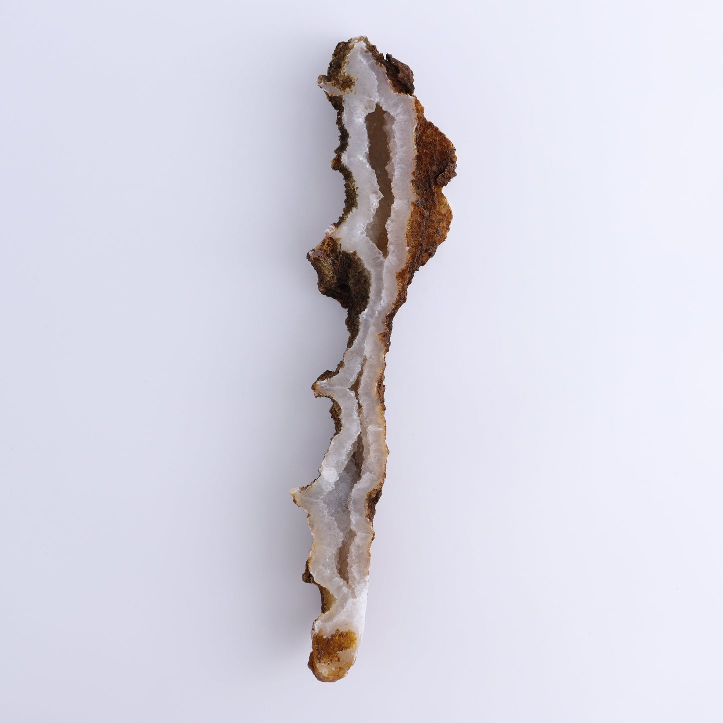 Agatized Coral Flat - Expert Wholesale and Supplier of Wholesale Crystals & Bulk Gemstones, ["Agate","Agatized Coral","Coral","United States"]