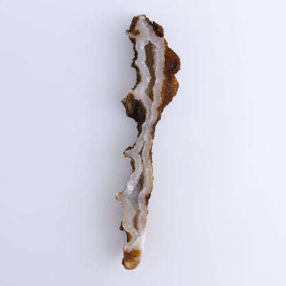 Agatized Coral Flat - Expert Wholesale and Supplier of Wholesale Crystals & Bulk Gemstones, ["Agate","Agatized Coral","Coral","United States"]
