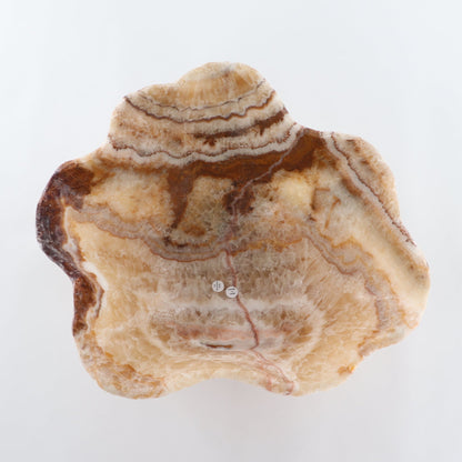 Mexican Onyx/Calcite Bowl 14"