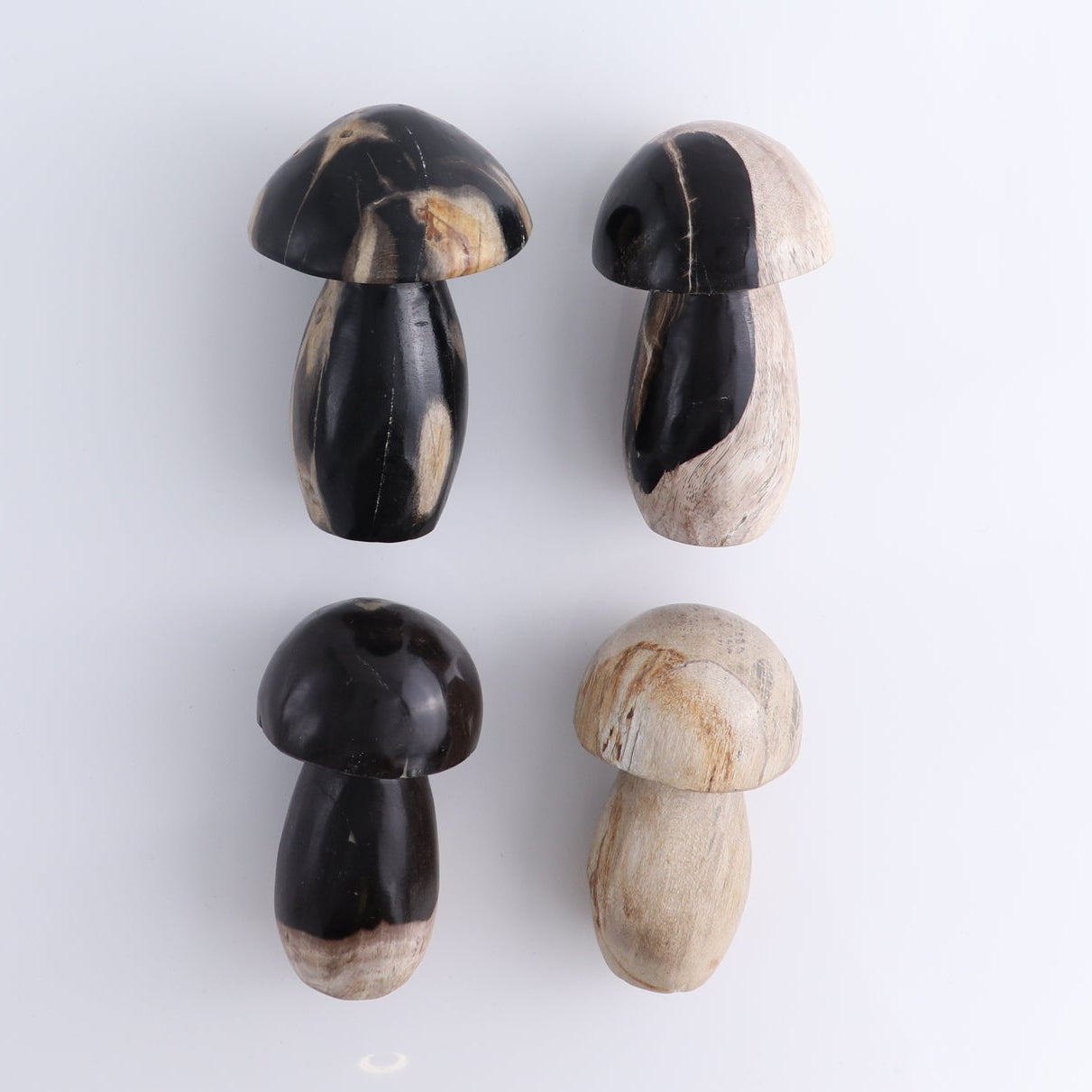 Petrified Wood Mushrooms Set of 4