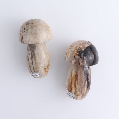 Petrified Wood Mushrooms Set of 4