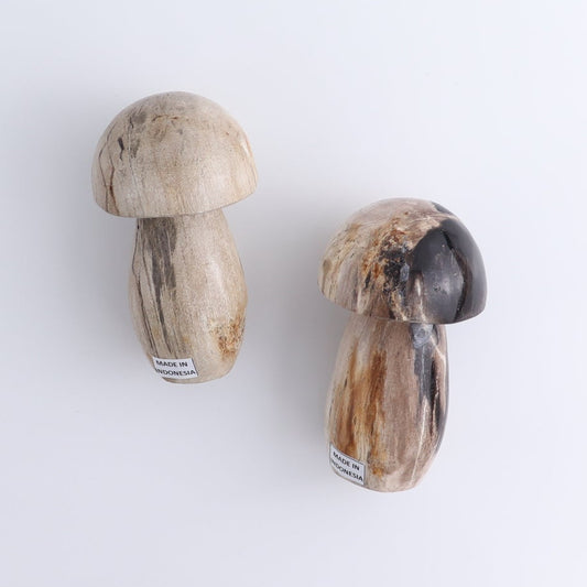 Petrified Wood Mushrooms Set of 4