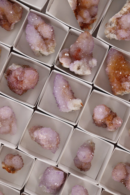 Cactus Quartz Flat - Expert Wholesale and Supplier of Wholesale Crystals & Bulk Gemstones, []