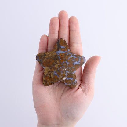 Brecciated Jasper Stars Set of 11 - Expert Wholesale and Supplier of Wholesale Crystals & Bulk Gemstones, ["Brecciated Jasper","Indonesia","stars"]