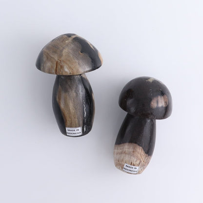 Petrified Wood Mushrooms Set of 4