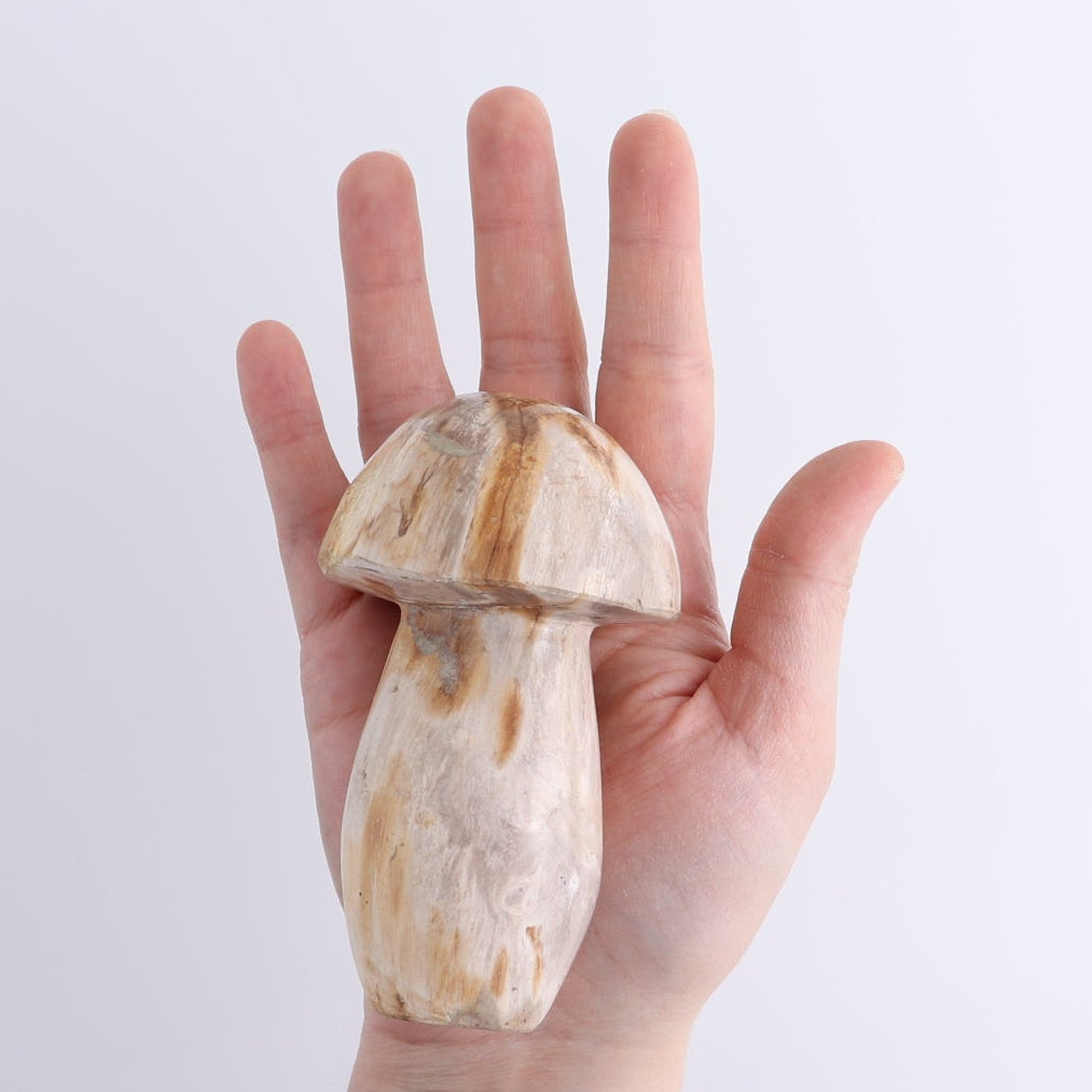 Petrified Wood Mushrooms Set of 4