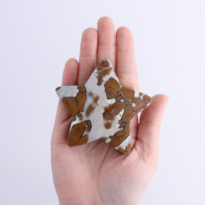 Brecciated Jasper Stars Set of 11 - Expert Wholesale and Supplier of Wholesale Crystals & Bulk Gemstones, ["Brecciated Jasper","Indonesia","stars"]