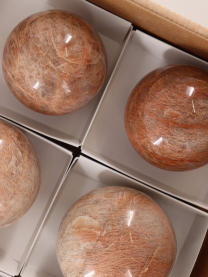 Peach Moonstone Spheres Set of 6 - Expert Wholesale and Supplier of Wholesale Crystals & Bulk Gemstones, []